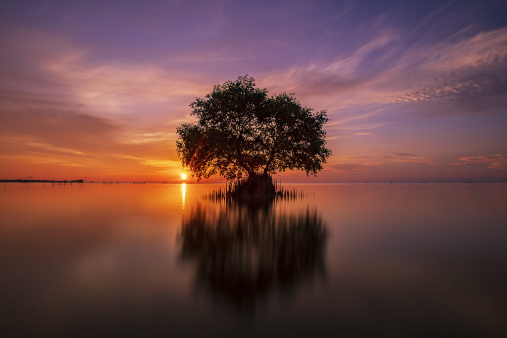 Daniel K. (Toronto, Canada)