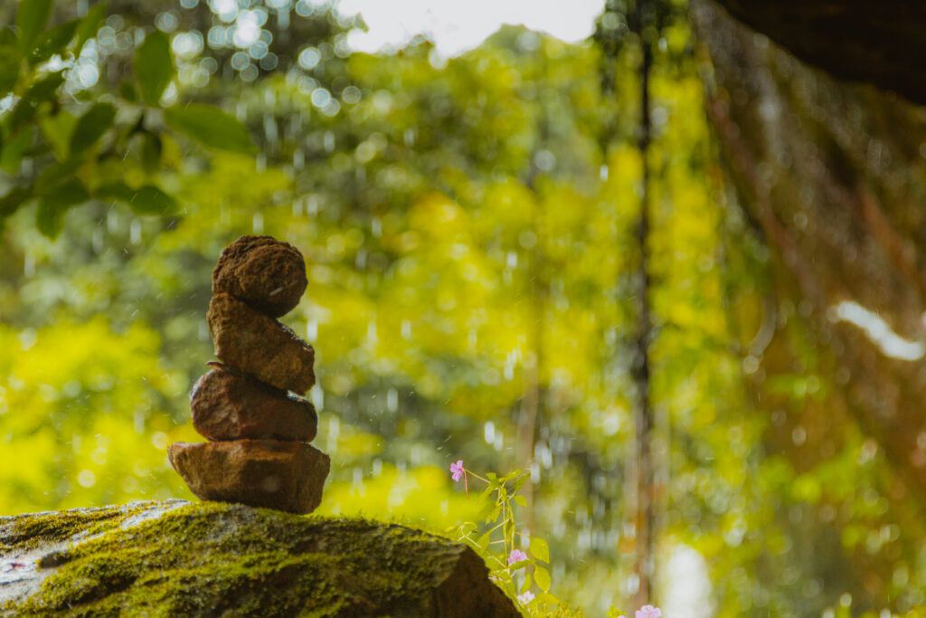 Emily R. (Austin, USA)