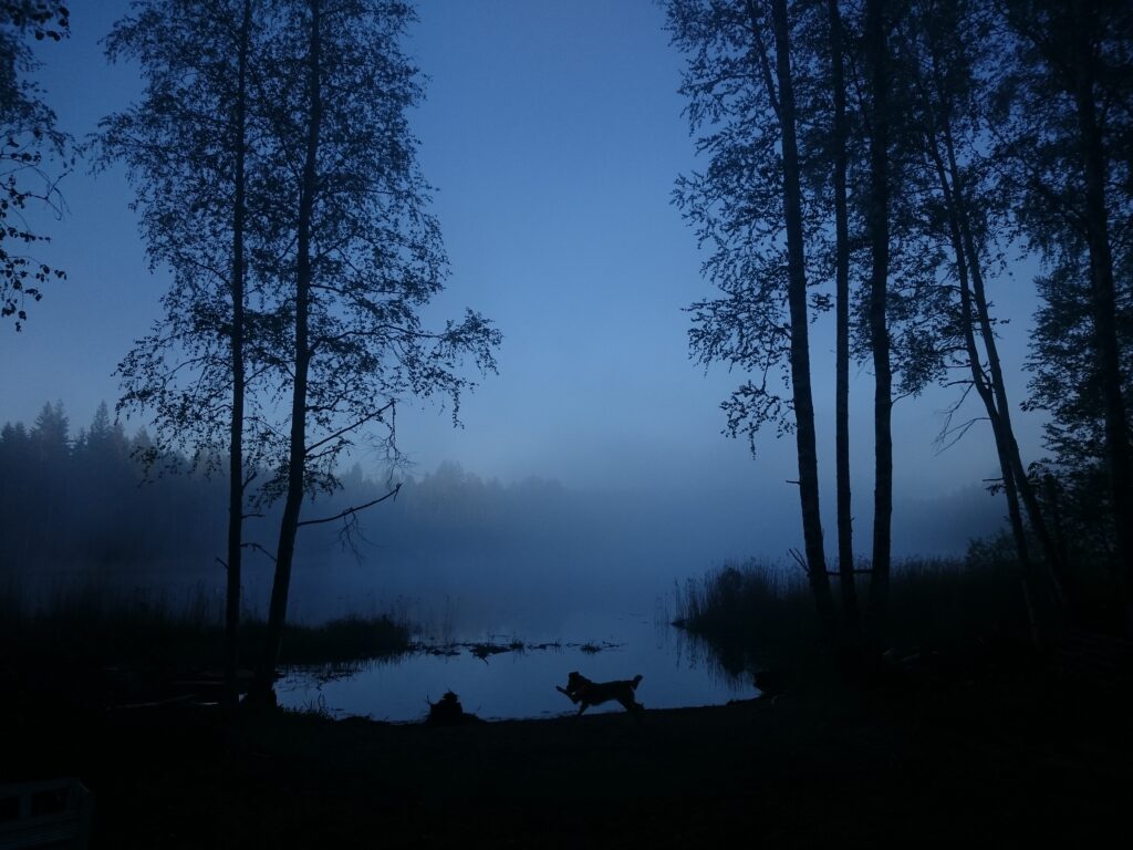 Hannah S. (New York, USA)